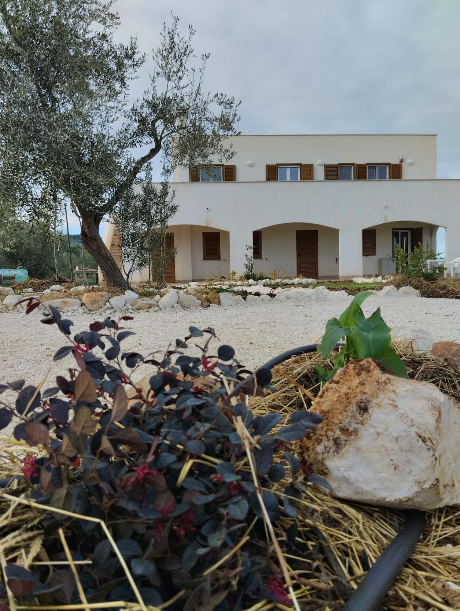 Borgo Rosoli Vieste Ngoại thất bức ảnh